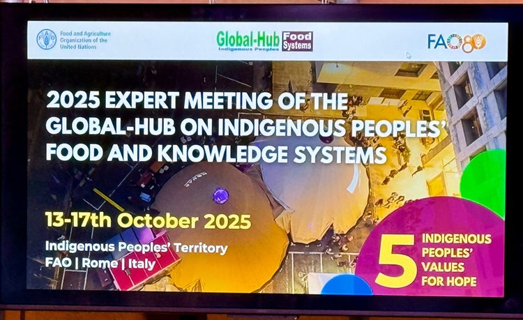 Whatsapp Image 2025 10 13 At 21.22.40 (1)